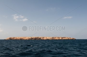 Ad Dimaniyat Islands - Oman