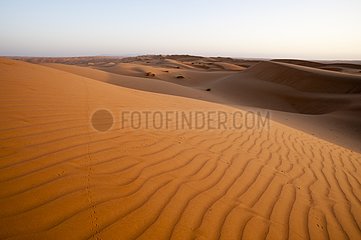 Dunes at Wahiba Sands Desert - Oman