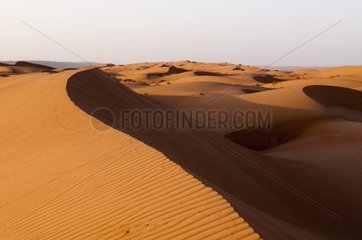 Dunes at Wahiba Sands Desert - Oman