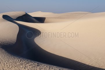 Dunes at Khaluf desert - Oman