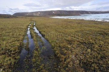 ATV tracks in the tundra Somerset Island Nunavut Canada
