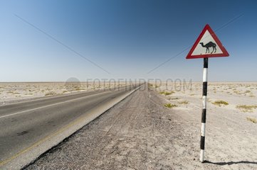Road and sign in the desert - Oman