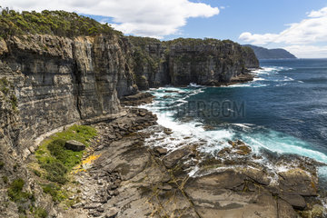 Cliff  Tasman National Park  Tasmania