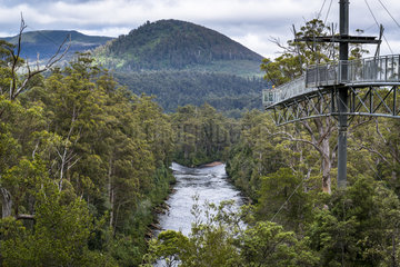 Huon River from Tahune AirWalk  Tahune Forest Reserve  Tasmania  Australia