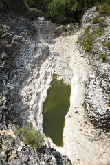 Largue river dryed  Luberon Regional Nature Park  Alpes de Haute Provence  France