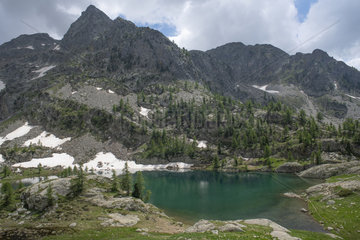 Lake Trecolpas  Mercantour National Park  Alps  France