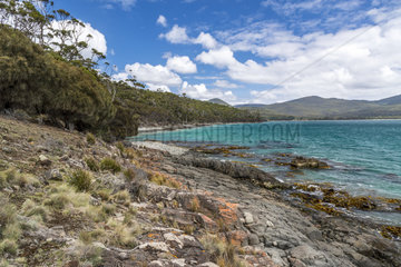 Rocky shore  South Bruny National Park  Tasmania  Australia