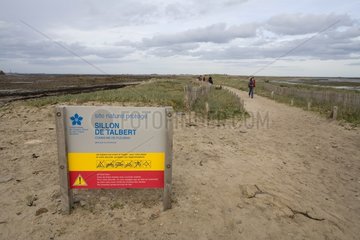 Path in the proximale dune of Sillon de Talbert France