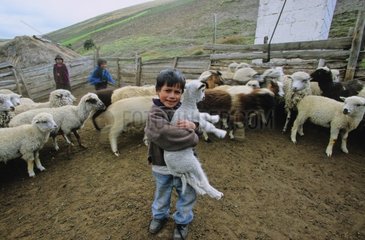 Kleinkind spielt mit einem Ecuador -Lamm