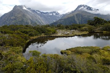Lake surrounded by subalpine vegetation Fiordland NP