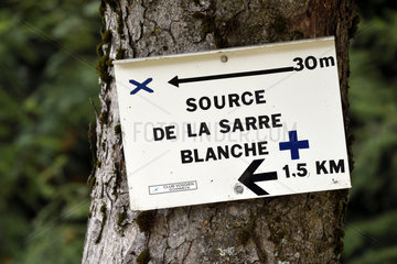 Panel  Source de la Sarre Blanche in the Donon Massif  forest  Grandfontaine  Bas Rhin  France