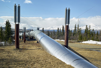 Trans Alaska Pipeline System (TAPS)  along the Richardson Highway  Alaska