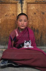 Chaton de gouttière et jeune moine Tibet