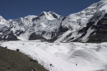 Alpiniste solitaire sur le glacier Engilchek