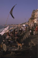 Hund in der Mitte der Menge am Rande des Ganges Uttar Pradesh