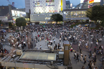 Shibuya Crossing  Tokyo