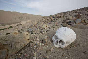 Looting of tomb - Valley of Poroma Nazca Desert Peru