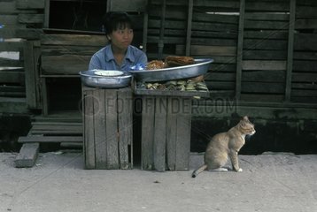 Katze und Frau sitzen vor den Schalen Burma