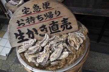 Oysters Miyajima - Miyajima Island Japan