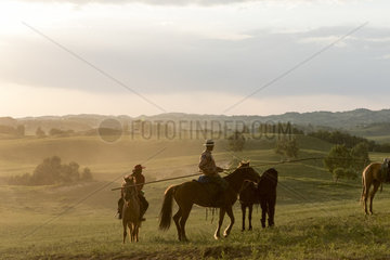 Mongol on a horse  with a catch lasso  Bashang Grassland  Zhangjiakou  Hebei Province  Inner Mongolia  China