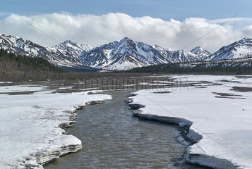 Teklanika river  in spring  Denali National Park  Alaska