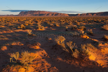 Desert semi-aride à steppe  marocain oriental