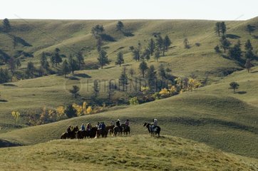 Cowboys at Bison Roundup Custer State Park South Dakota USA