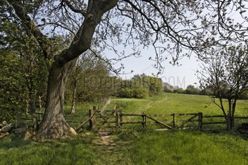 Landscape of Coombes Valley RSPB Reserve - Staffordshire UK
