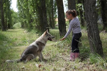 Little girl and Czechoslovakian wolfdog