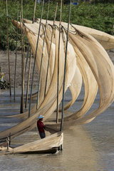 Drying of the sails of boats with the wind  Xiapu County  Fujiang Province  China