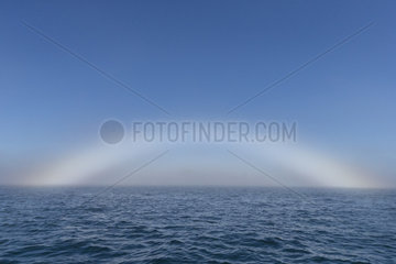 Fog bow or White arc or white rainbow  Meteorological light phenomenon due to the diffraction of the sunlight by very small droplets of water contained in the fog or the mist  Magdalena Bay (Madelaine Bay)  Puerto San Carlos  Baja California Sur  Mexico