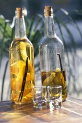 Alkoholflaschen und GlÃ¤ser Cape Frettchen