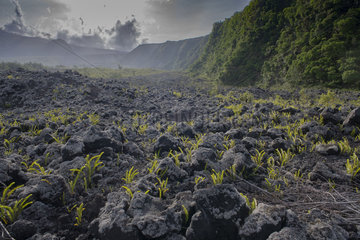 Lava Flow  Le grand brule  Reunion Island