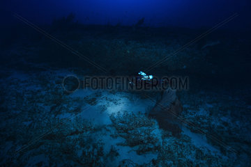 In the dark at 97 m depth  atmosphere of the twilight zone. Mayotte
