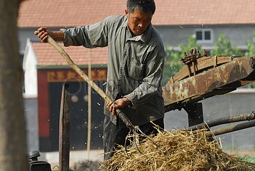 Peasant pressing of the straw and handling the fork China