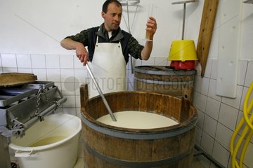 Salers cheese making Monts du Cantal Auvergne France