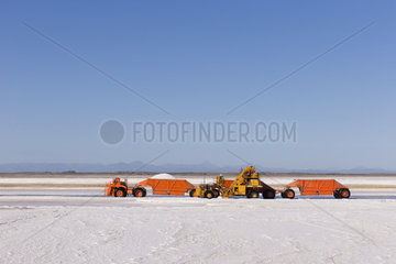 The biggest saltworks plant in the world  shallow salty watery habitat  Salt harvest 6 to 8 months after impoundment  production of 9 millions tons per year  Ojo de Liebre Lagoon (formerly known as Scammon's Lagoon)  Guerrero Negro  Baja California Sur  Mexico
