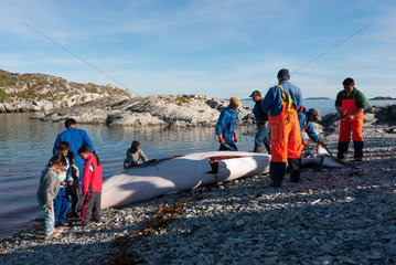 Hunting and community sharing of a Whale (Balaenoptera acutorostrata) by Inuit  Greenland