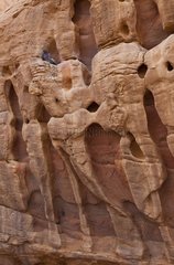 Cliffs in the Wadi Rum desert region in Jordan