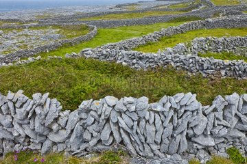 Dry stone walls on the island of Inishmore in Ireland