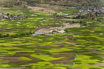 Polyculture plot in Yunnan in China