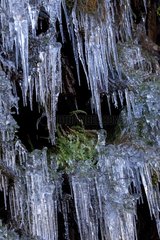 Winter ice stalactites France