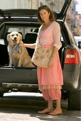 weiblicher Hund Golden Retriever in einem Autokoffer