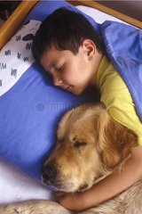 Junge und goldener Retriever schlafen in einem Bett