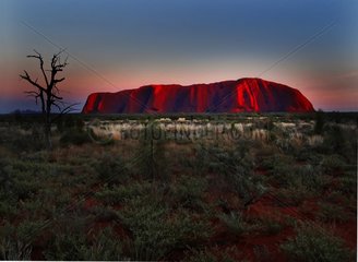 Ayers Rock in Uluru-Kata Tjut NP Northern Territory