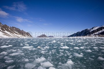 Drifting ice in the fjord Fugle Spitzberg Svalbard