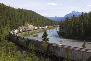 Freight train along a river Banff NP Canada