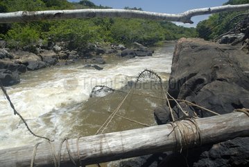 Fishing technique in the rapids of the Rio Pojuca Brazil