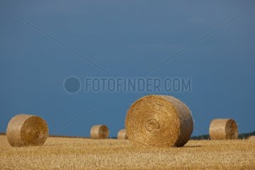 Rolls of hay in a harvested field Champagne France