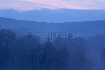 Forest landscape at dawn in winter Champagne France